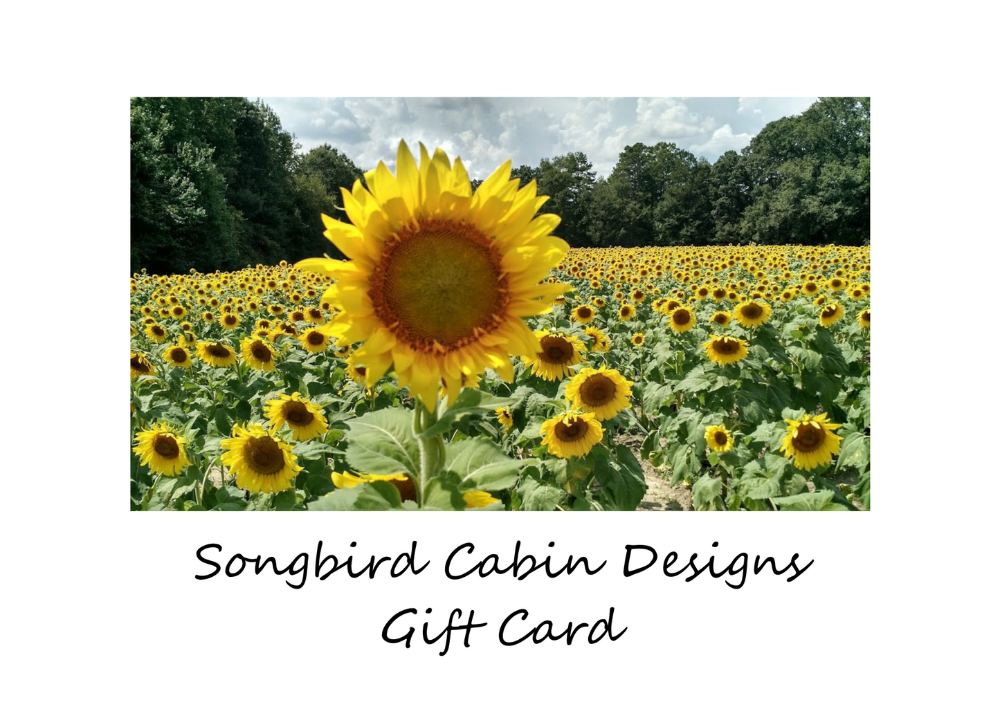 Songbird Cabin Designs Gift Card