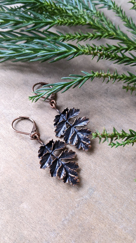 Oak Leaf Earrings ~ Antiqued Copper